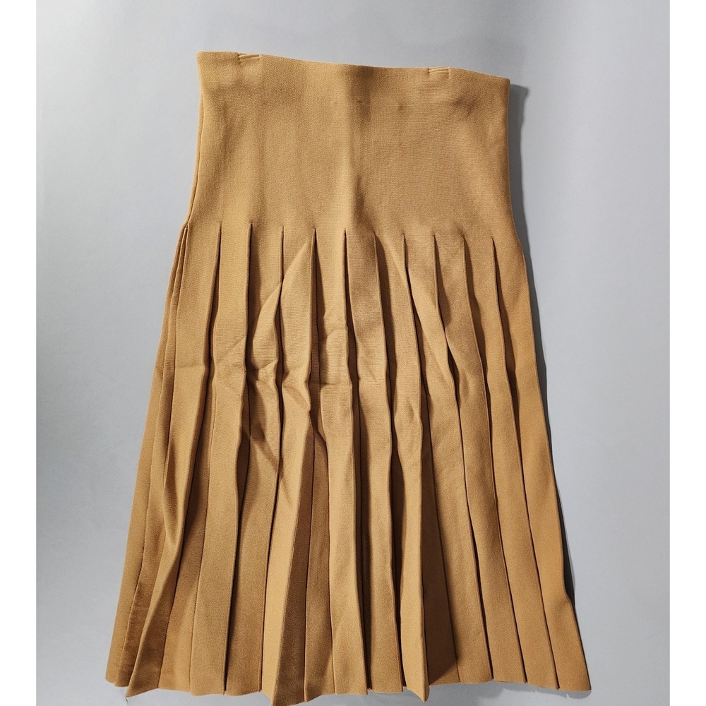 Aleeza Paris Pleated Wonder Skirt Nugget XS (Retails $109)